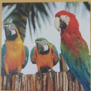 Meet your Posher, Donna